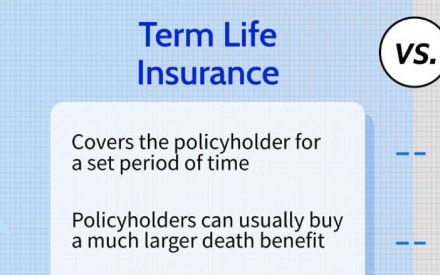 Universal Life Insurance: Secure Your Legacy USA